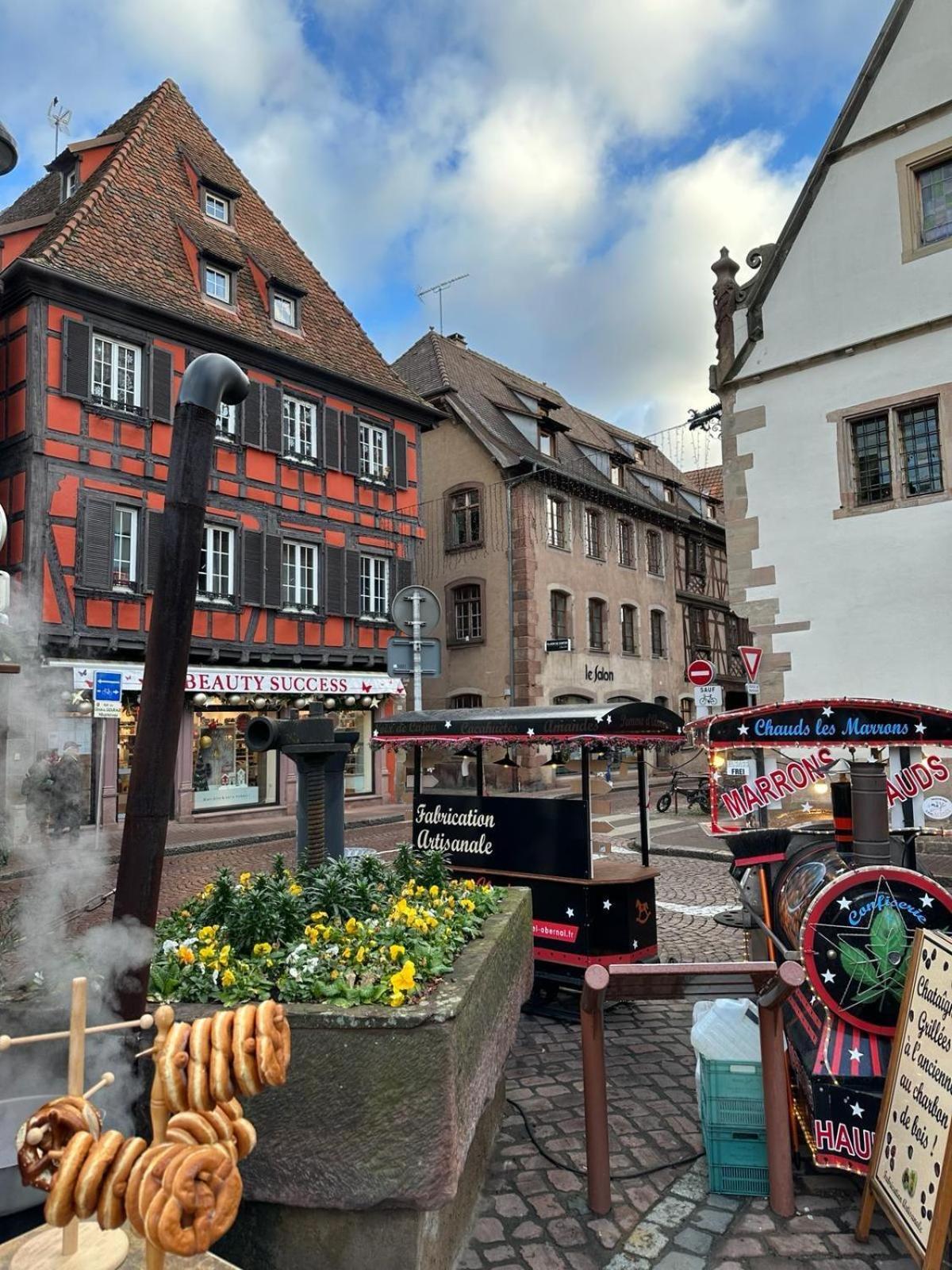 Apartament Bienvenue Au Coeur D Alsace-Centre Obernai -3 Etoiles - Zewnętrze zdjęcie